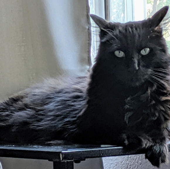 Meet your Posher, Debbee - Picture 9 of 13